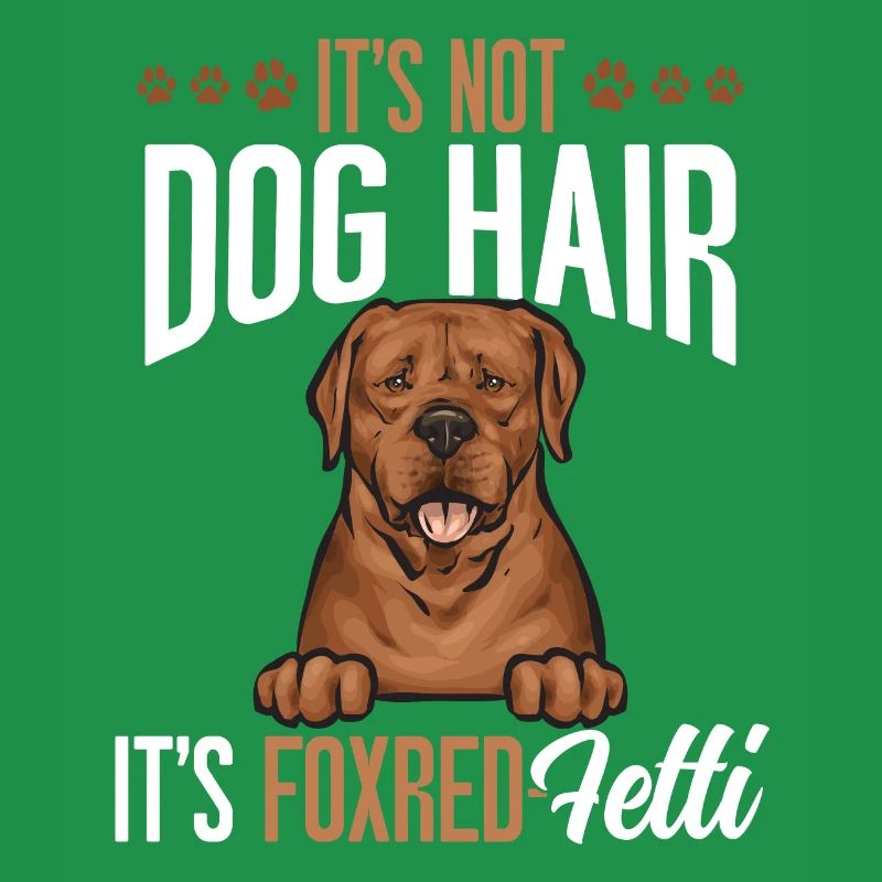 Fuchsroter Labrador Retriever Fox Red Labrador