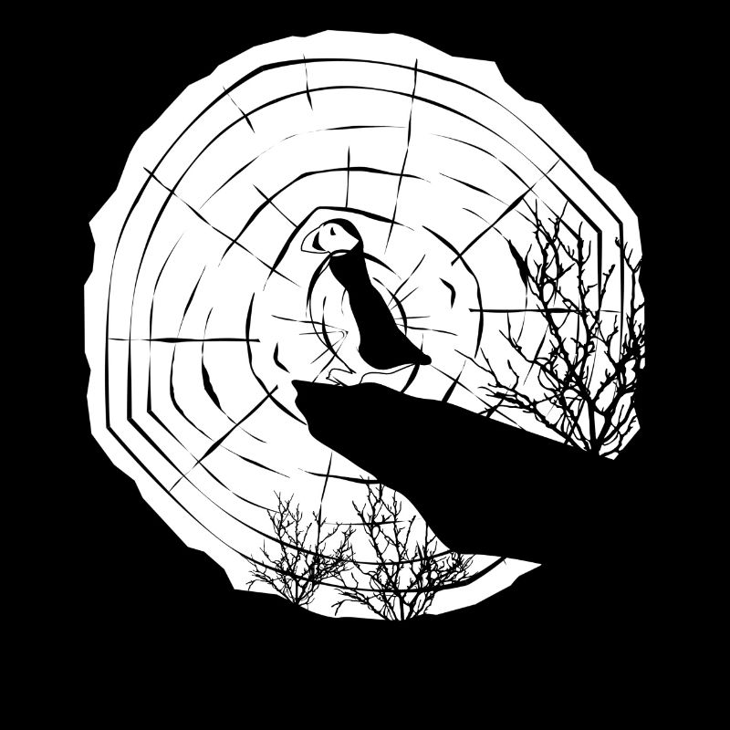 Puffins Moon Puffin