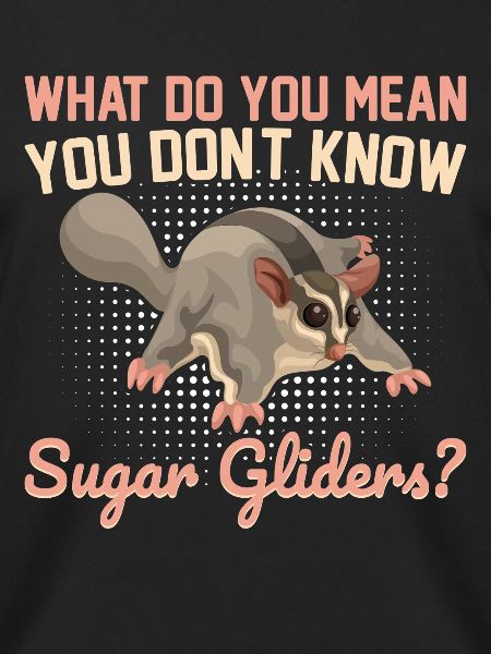 Sugar glider