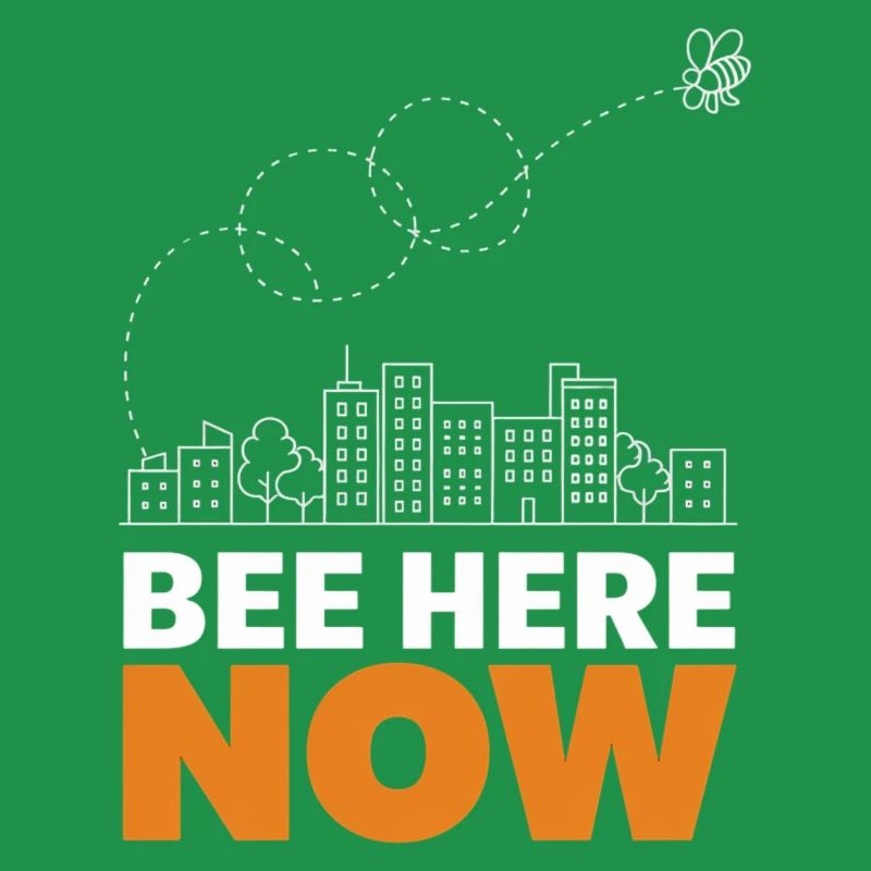 Bee Here Now Conception de paysage urbain