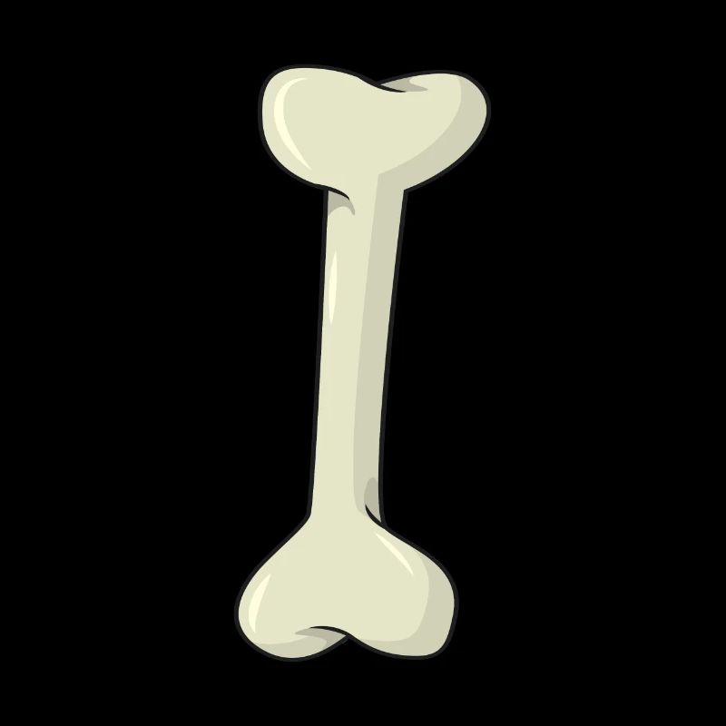 Knochen