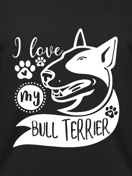 Bull terrier