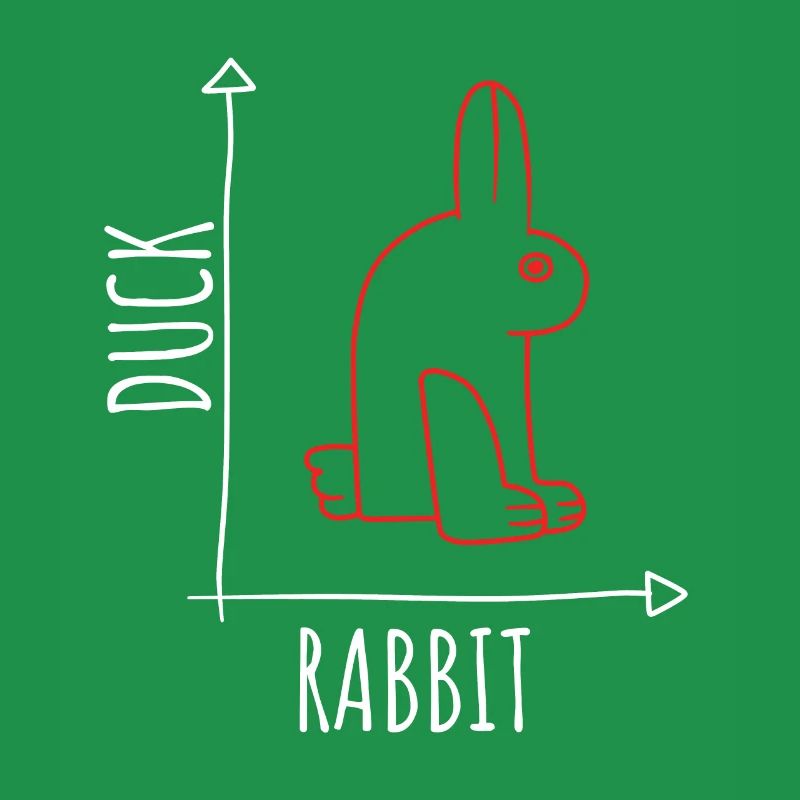 Optical Illusion Duck Rabbit Illusion Wittgenstein