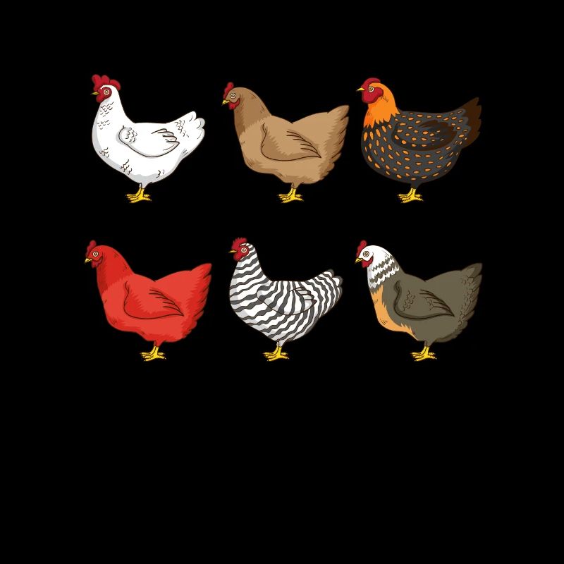 Éleveurs de poulets Volaille de ferme Poulets Poulets