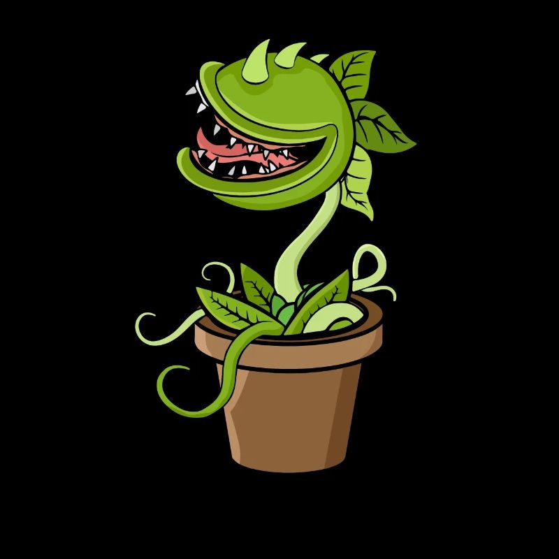 Carnivorous plant Venus flytrap