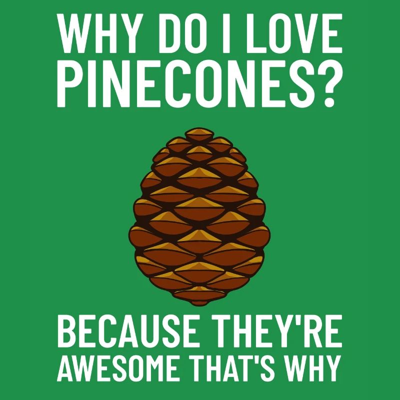 Pine cones Pine cones Pine cones Cones