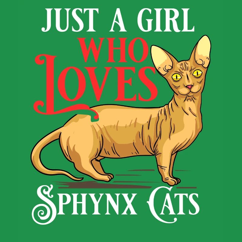 Sphynx Chat Sphinx Chaton sans poils Egypte