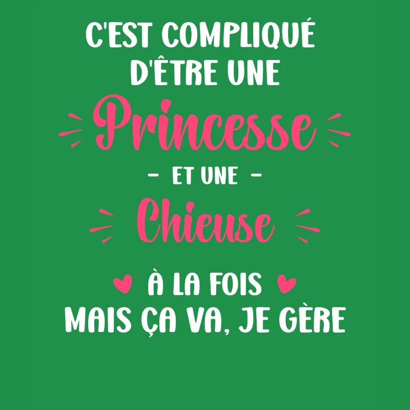 C est compliqué princesse et Chieuse