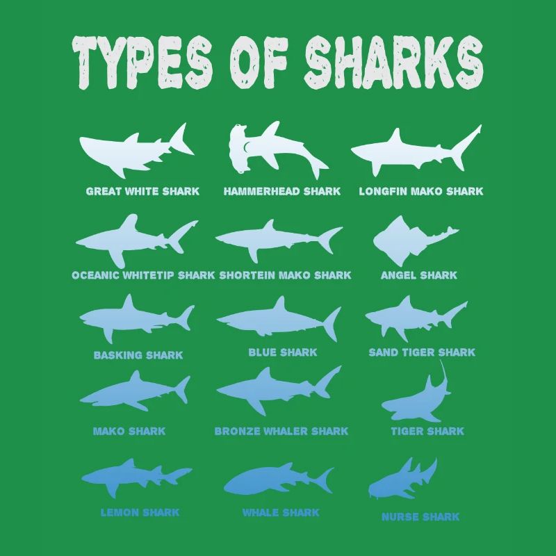 Types de requins