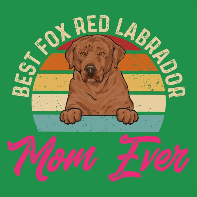 Foxred Labrador Fuchsroter Labrador Retriever