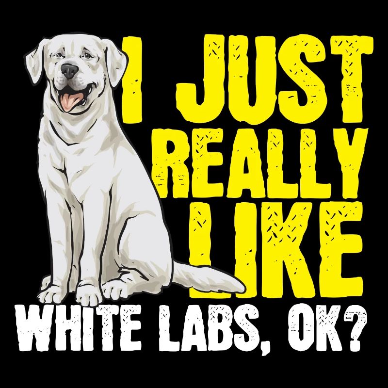 Labrador Retriever blanc Labrador Labrador blanc