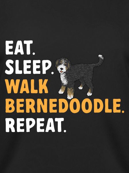 Bernedoodle Dog
