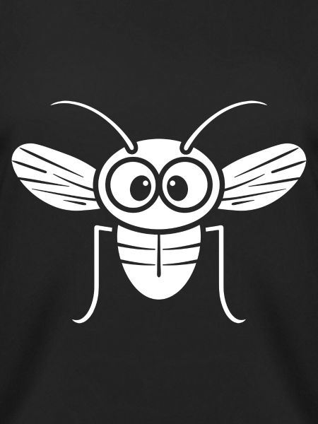 Fly