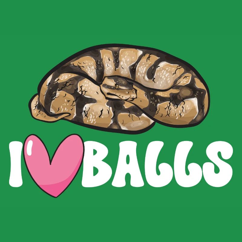 Ball Python Schlange Königspython