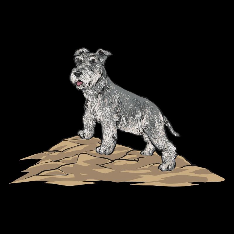 Zwergschnauzer Hund Schnauzer