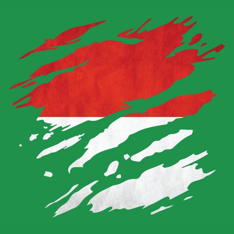 Indonesien - Nationalfahne, Kratzer, Risse