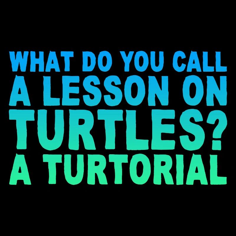 What Do You Call A Lesson On Turtles, A Turtorial