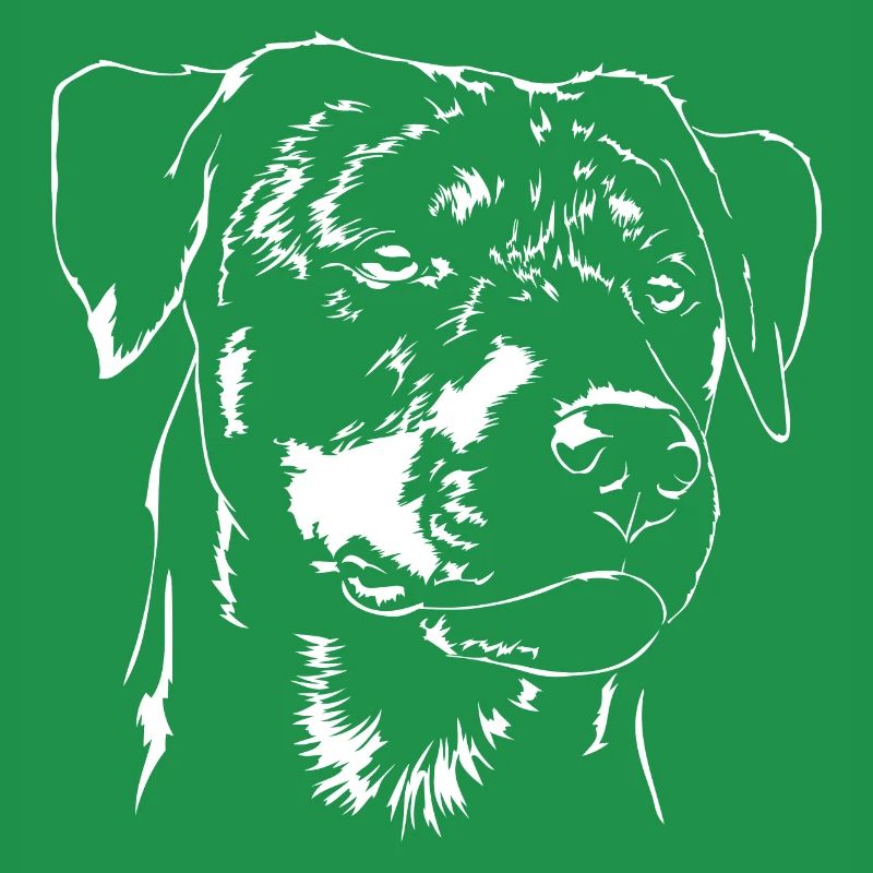 DEUTSCHER JAGDTERRIER glatthaar Wilsigns Jagdhund