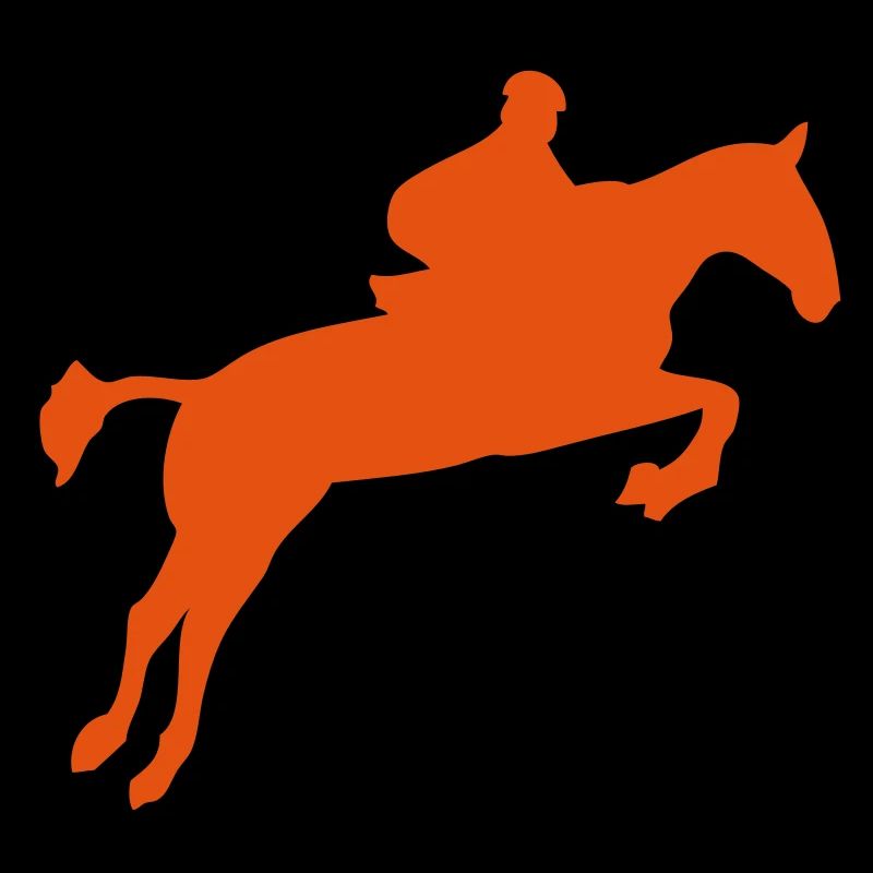 saut obstacle cheval monte 1