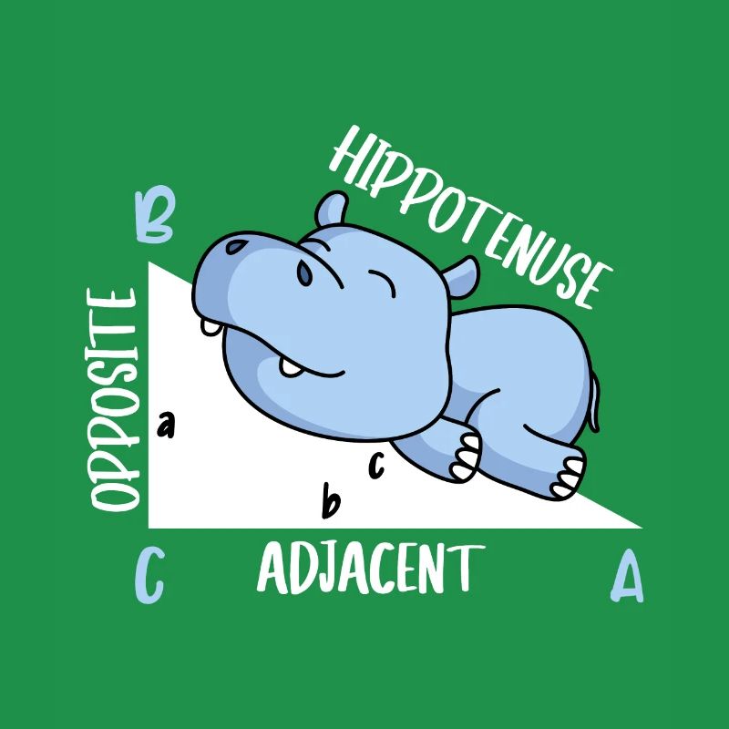Hippotenuse Math Teacher Fun Math