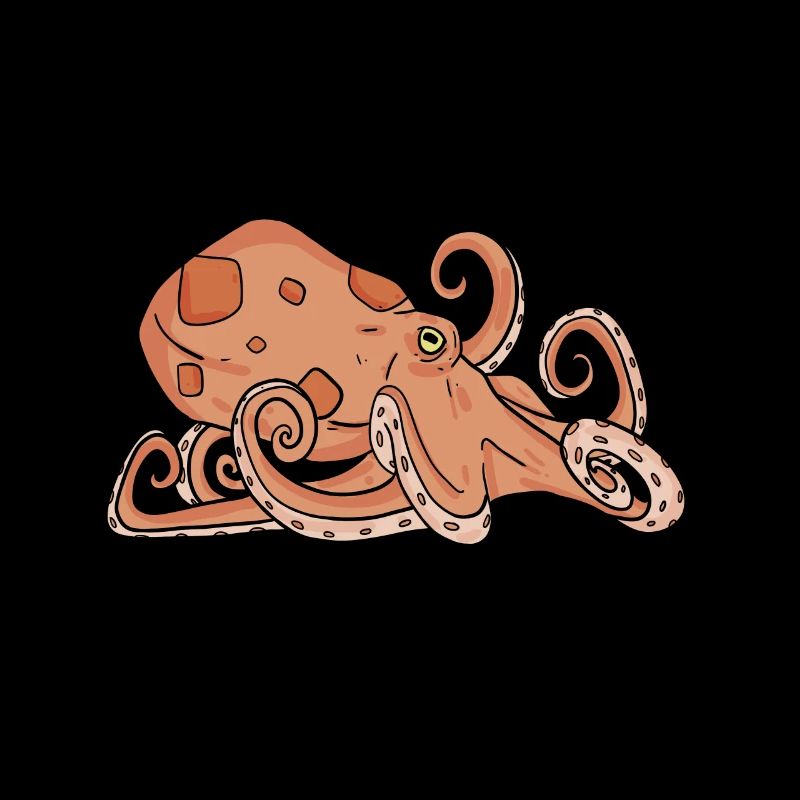 Octopus Octopus
