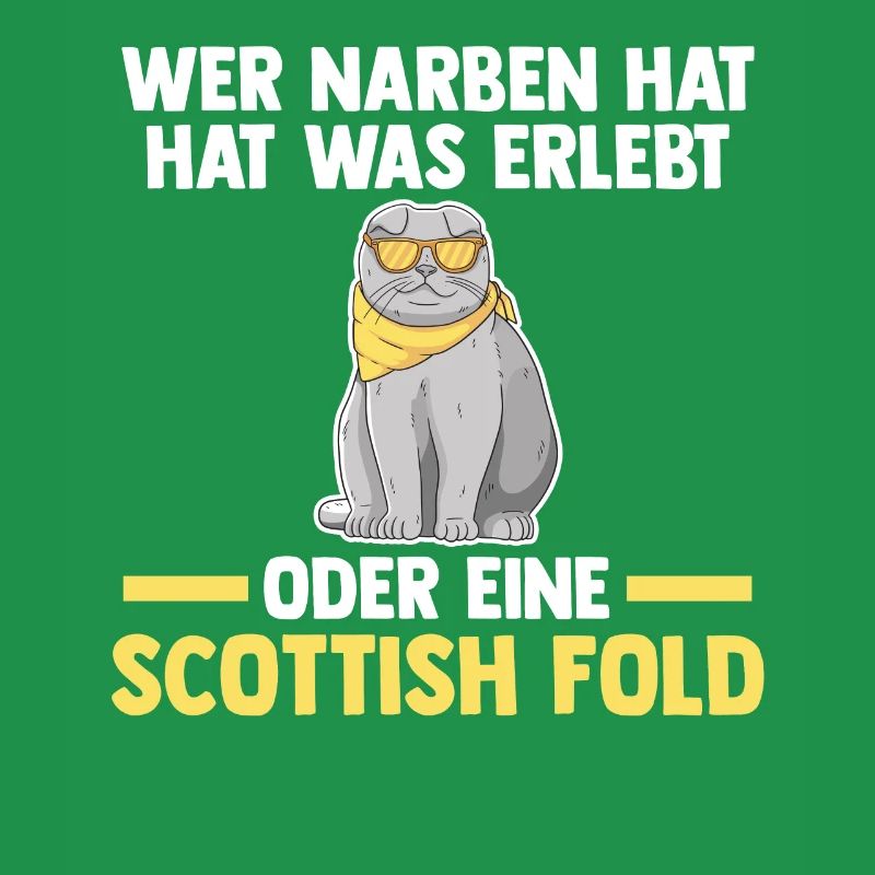 Scottish Fold Katze