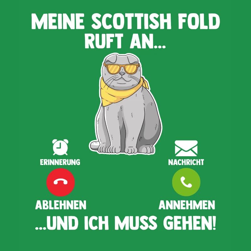 Scottish Fold Katze