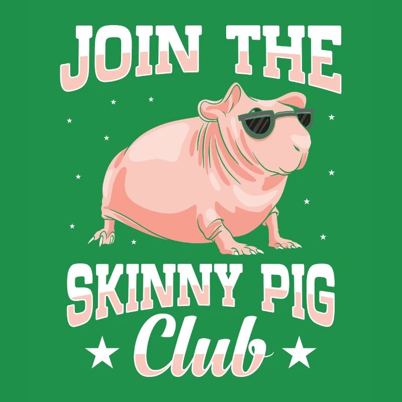 cochon d’Inde sans poils, cochon maigre,
