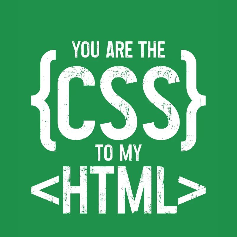 Vous êtes le CSS de mon HTML 3