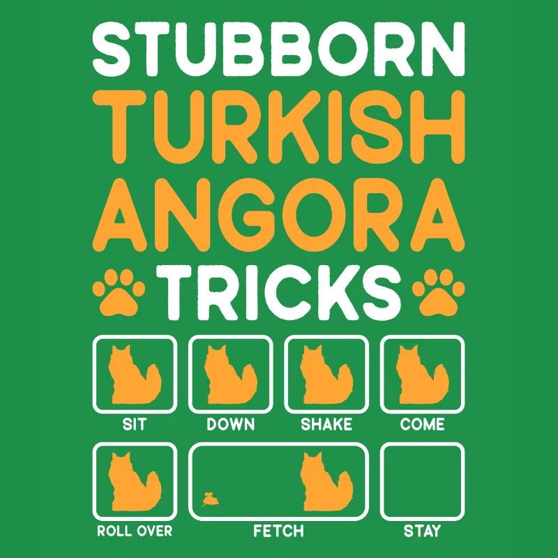 Tricks Têtus Chat Angora Turc