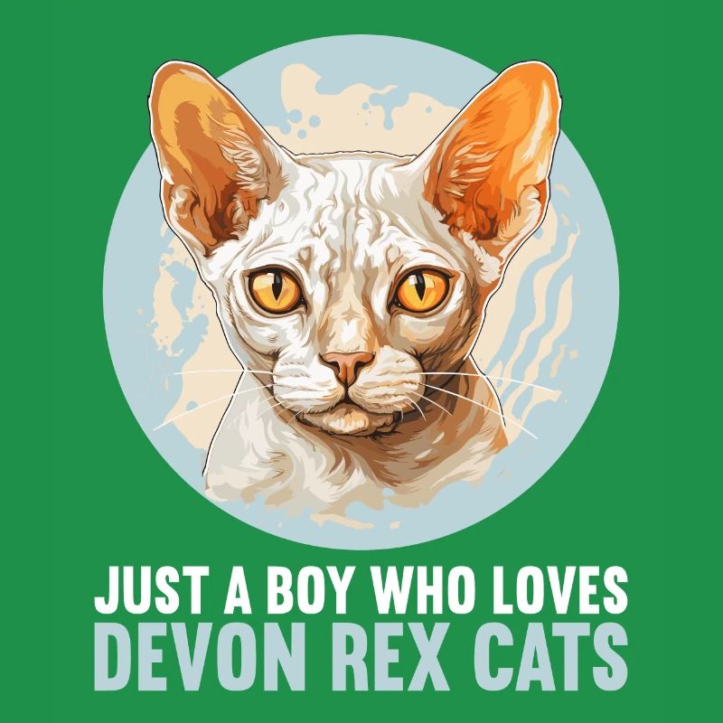 Chaton Devon Rex Chat Devon Rex