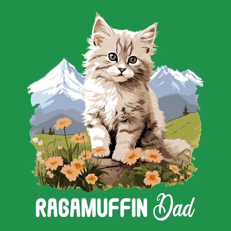 Ragamuffin Kätzchen Ragamuffin Katze