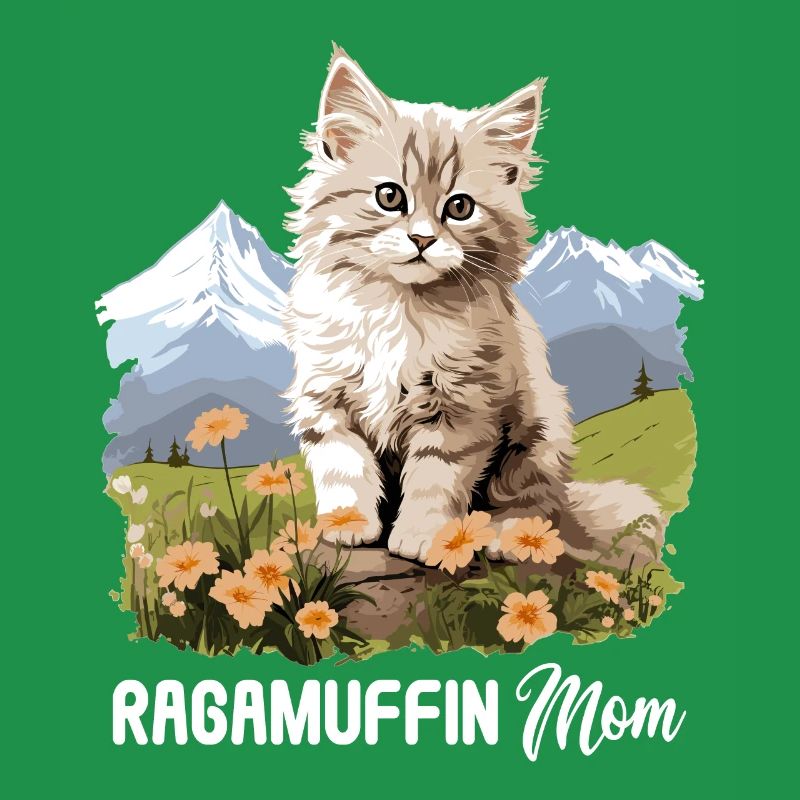 Ragamuffin Kätzchen Ragamuffin Katze