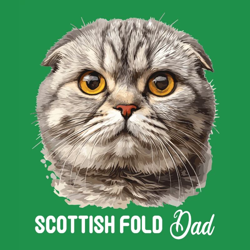 Scottish Fold Kitten Scottish Fold chat