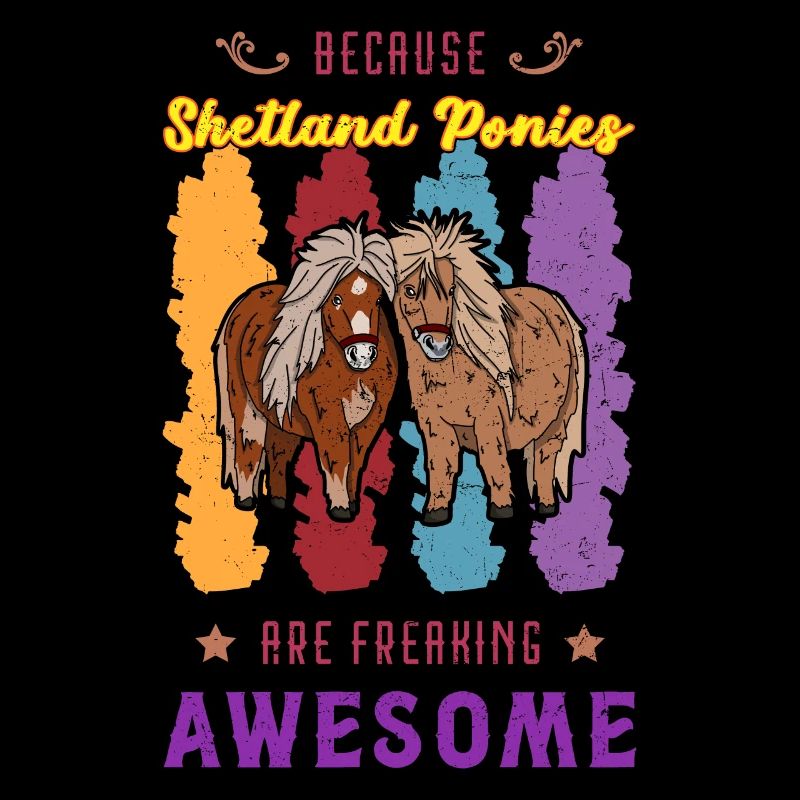 Pferde Pony Shetland Shetty Mädchen Reiterin
