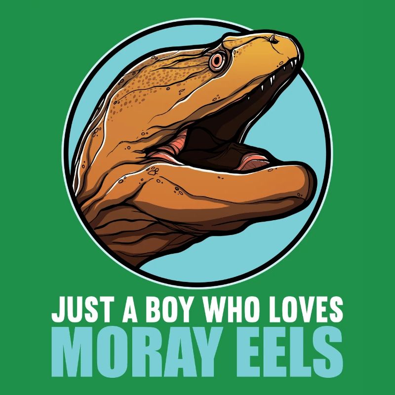 Moray eels Moray eel
