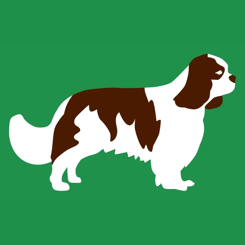 Cavalier King Charles Spaniel