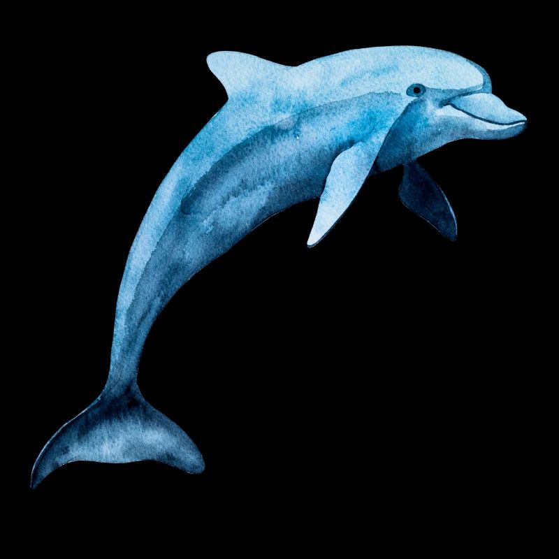 Delfin