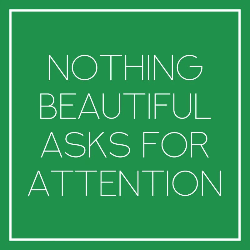 nothing beautiful asks for attention