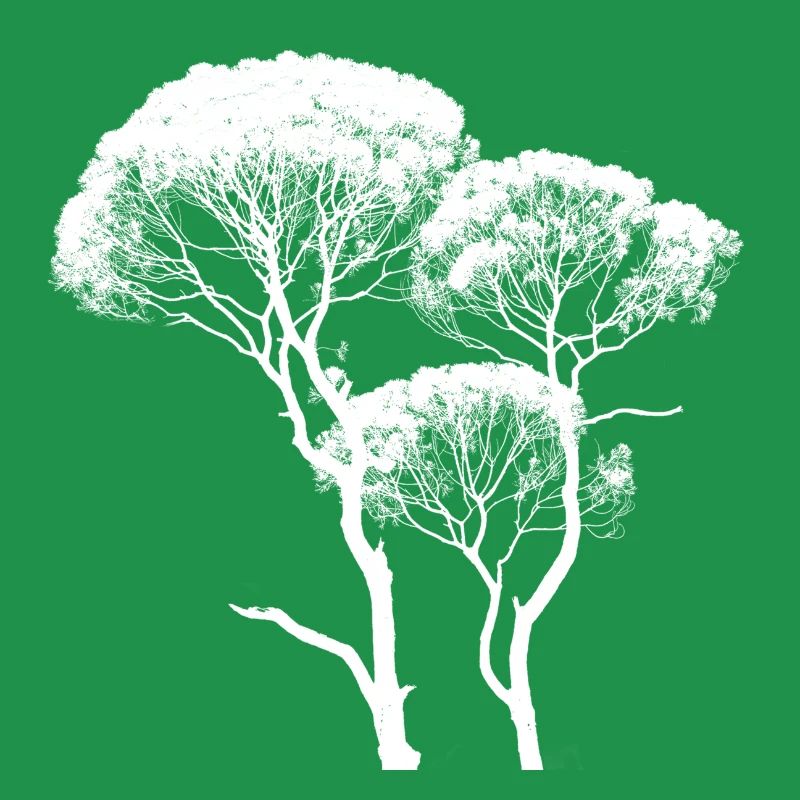 Tall Canopy Tree