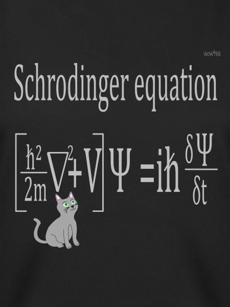 Schrödinger equation