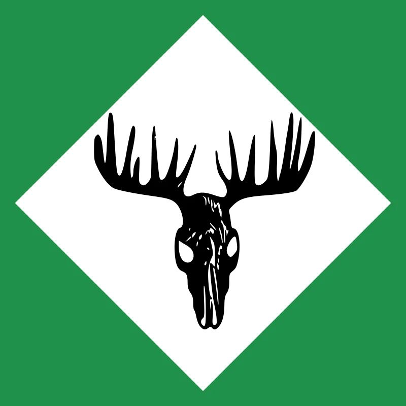 Elch-Schädel