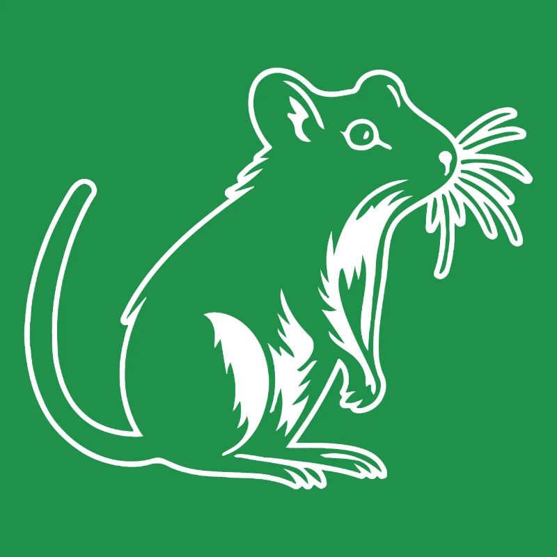 Rat, Mouse, Rodent, Rats