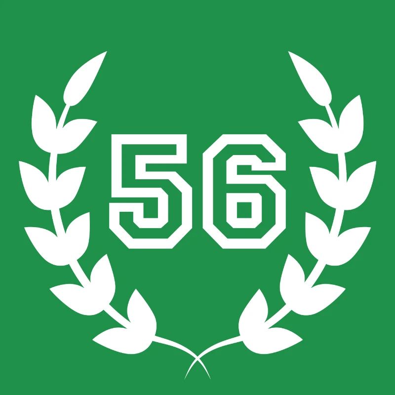 56th birthday-gift idea 56 years