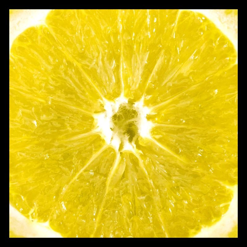 Slice of lemon