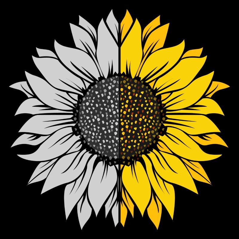 Sonnenblumen
