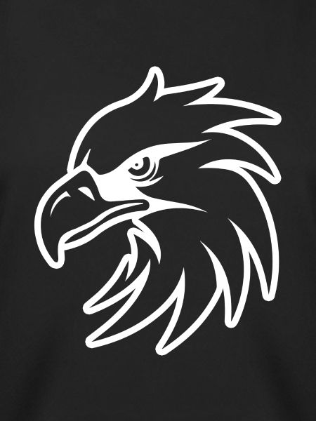 Eagle Eagle Head