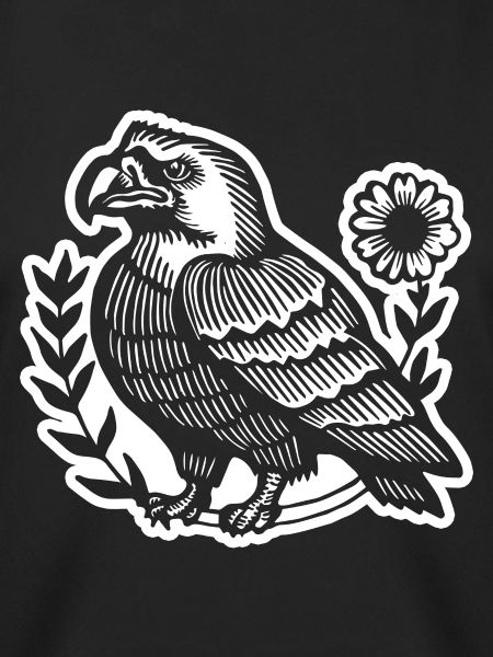 Eagle Eagle Head