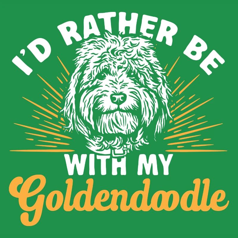 Goldendoodle Doodle Chien