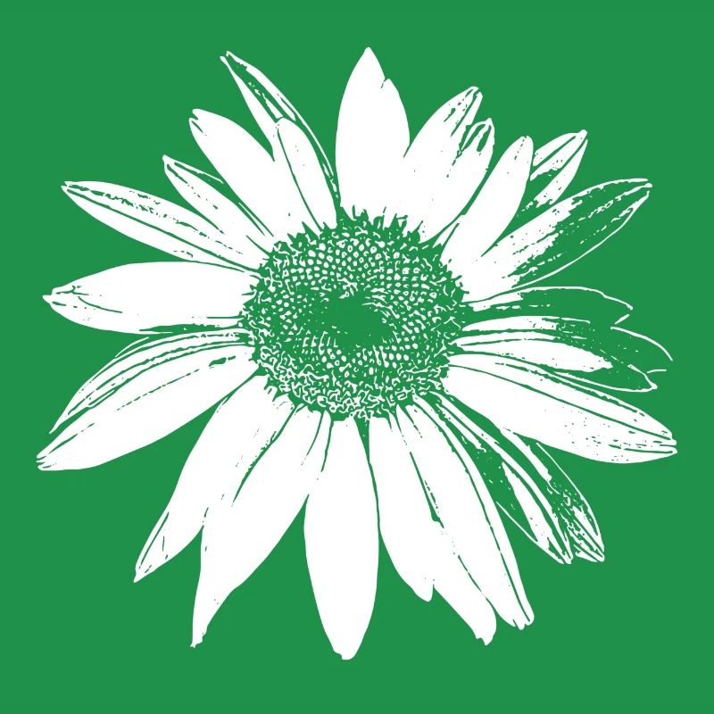 Daisy